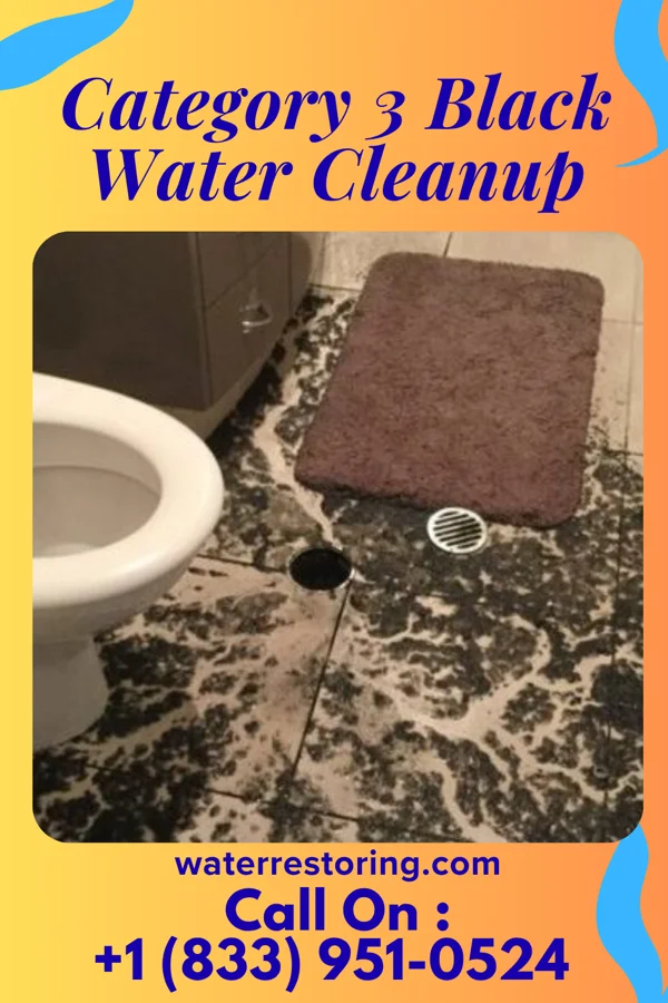 Category 3 Black Water Cleanup in St. Meinrad, IN