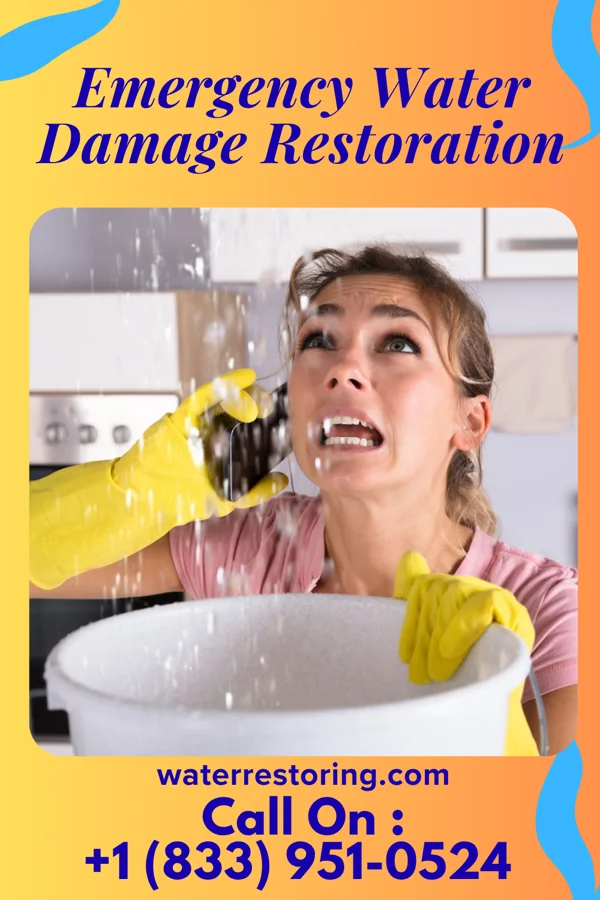 Emergency Water Damage Restoration in St. Meinrad, IN