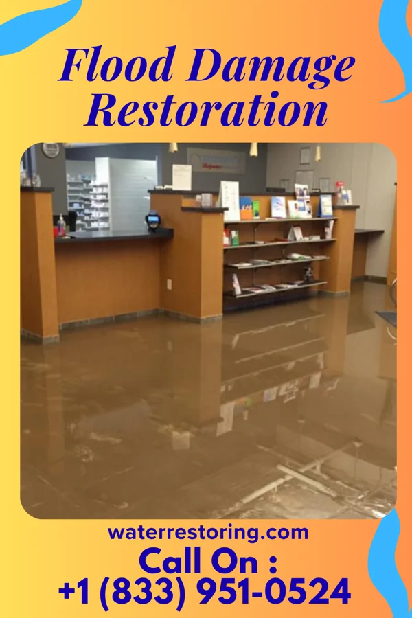 Flood Damage Restoration in St. Meinrad, IN