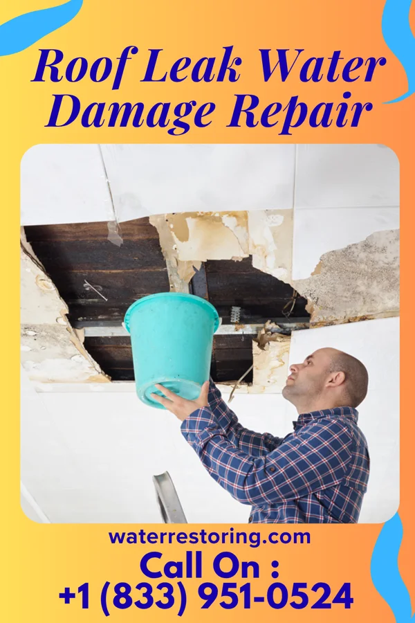 Roof Leak Water Damage Repair in St. Meinrad, IN