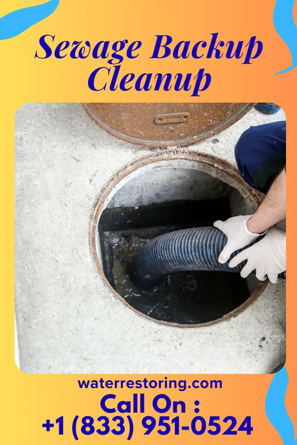 Sewage Backup Cleanup in St. Meinrad, IN