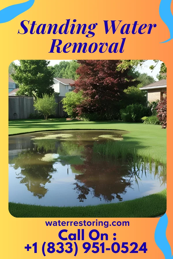 Standing Water Removal in St. Meinrad, IN